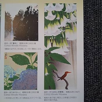 Amazon | 田中一村 ポストカード | ポストカード・絵柄付はがき